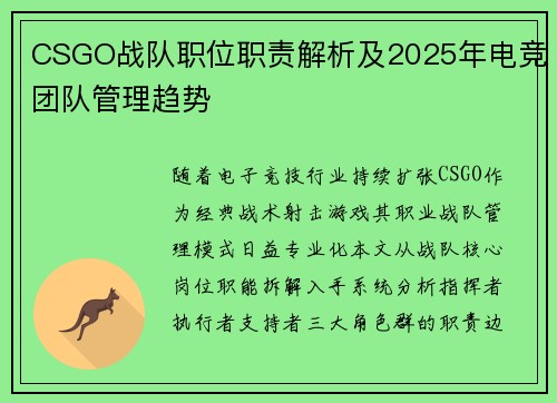 CSGO战队职位职责解析及2025年电竞团队管理趋势